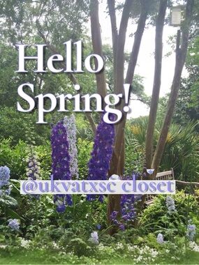 🪻Hello Spring🪻